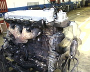 Ремонт двигателей ТАТА.(грузовики, автобус Эталон,  I-VAN )