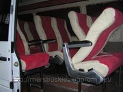  Везу Италия,  Венгрия,  Словения,  Австрия,  Франция,  Чехия и др.