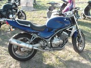 250 Balius