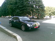 пассажирские перевозки,  авто в аренду