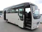 Заказ,  аренда  автобуса на свадьбу недорого