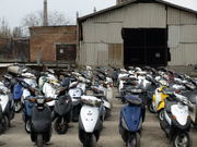 СКУТЕРА С ЯПОНИИ ОПТ