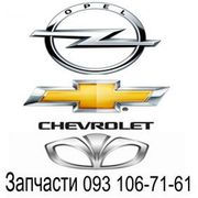 Кузов оптика Opel,   Daewoo,   Chevrolet,  купить запчасти Киев,  Украина.