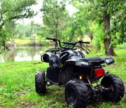 Аренда квадроциклов на базе отдыха Орельский Двор.
