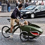 Детские велокресла,  велоприцепы HAMAX,  BEBEHUT COMBO