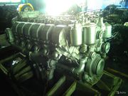 Куплю двигателя ямз-236, 238,  ямз-8401 в любом количестве