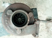 Продажа Кролевец