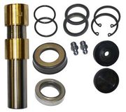 Шкворня Renault Mascott 5001865610