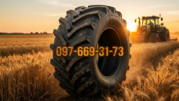 Шина MICHELIN AxioBib IF 710/75 R42 176D TL